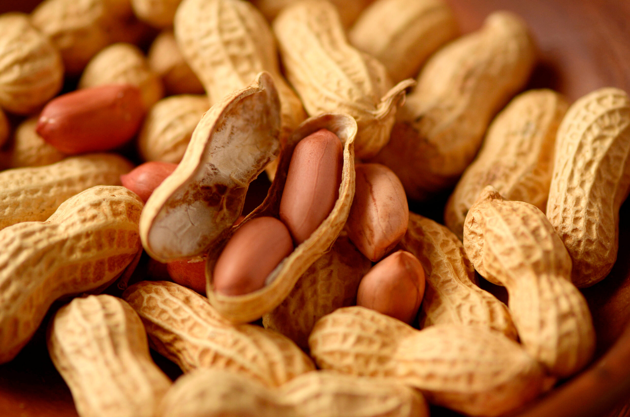 Peanuts can cause allergic reactions