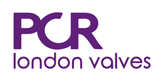 London Valves - Paris Course of Revascularisation