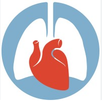 Cardiothoracic Surgery Network