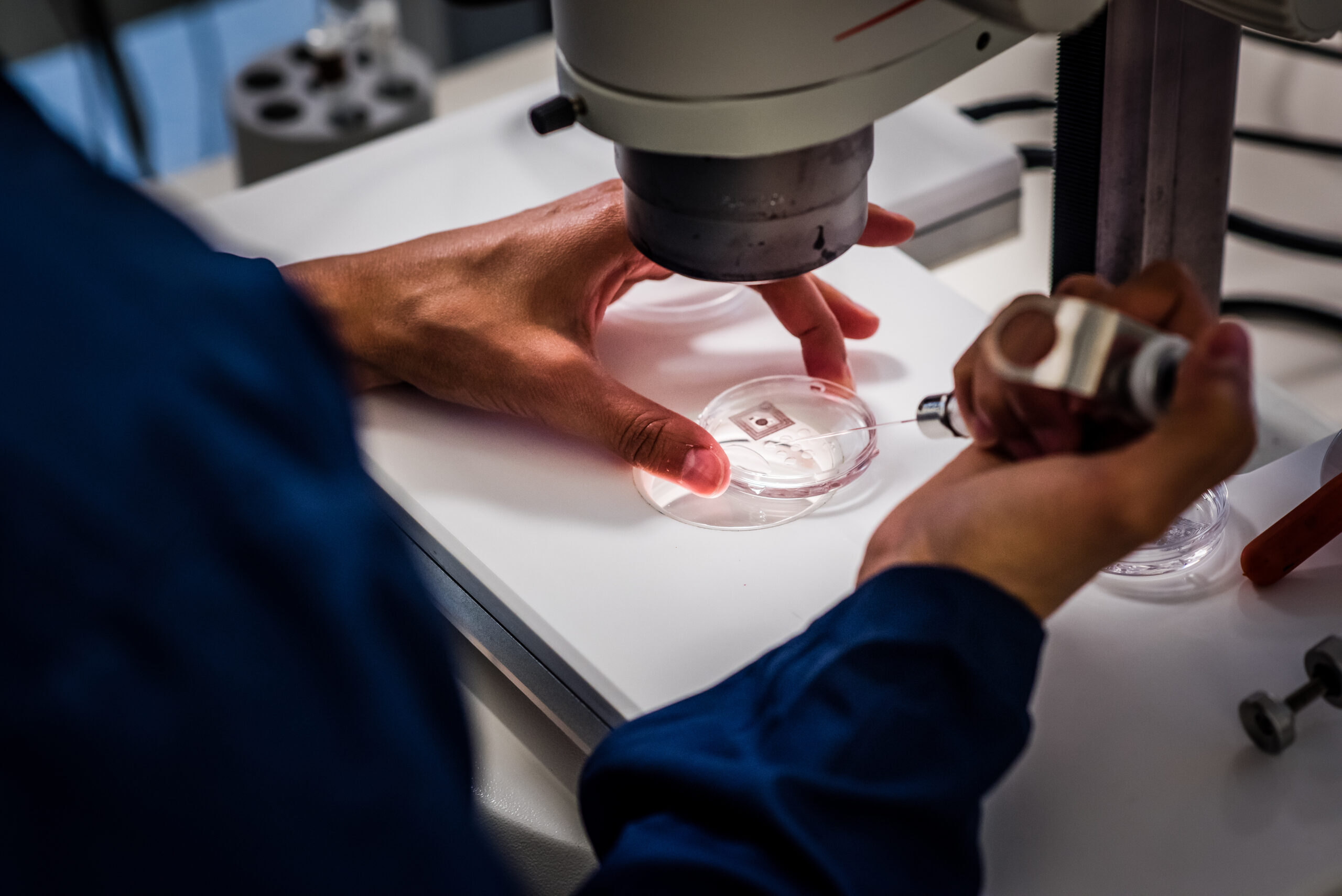 Lab scientist performing IVF at our ACU