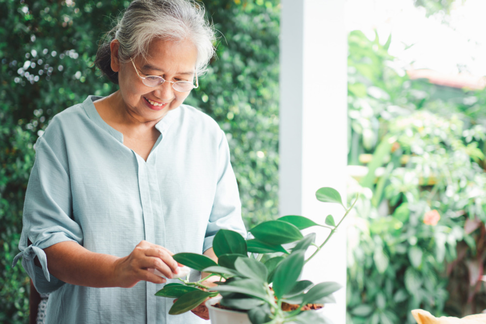 A happy older lady is smiling and tending to plants.