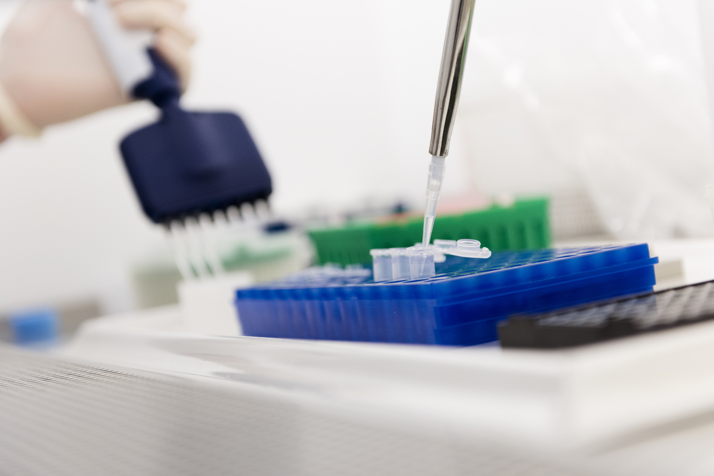 Genetics lab scientist working, pipetting samples