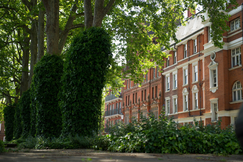 Royal Brompton Hospital