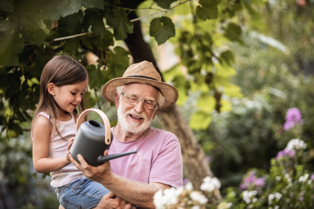 Grandfather and granddaughter watering plants in garden
